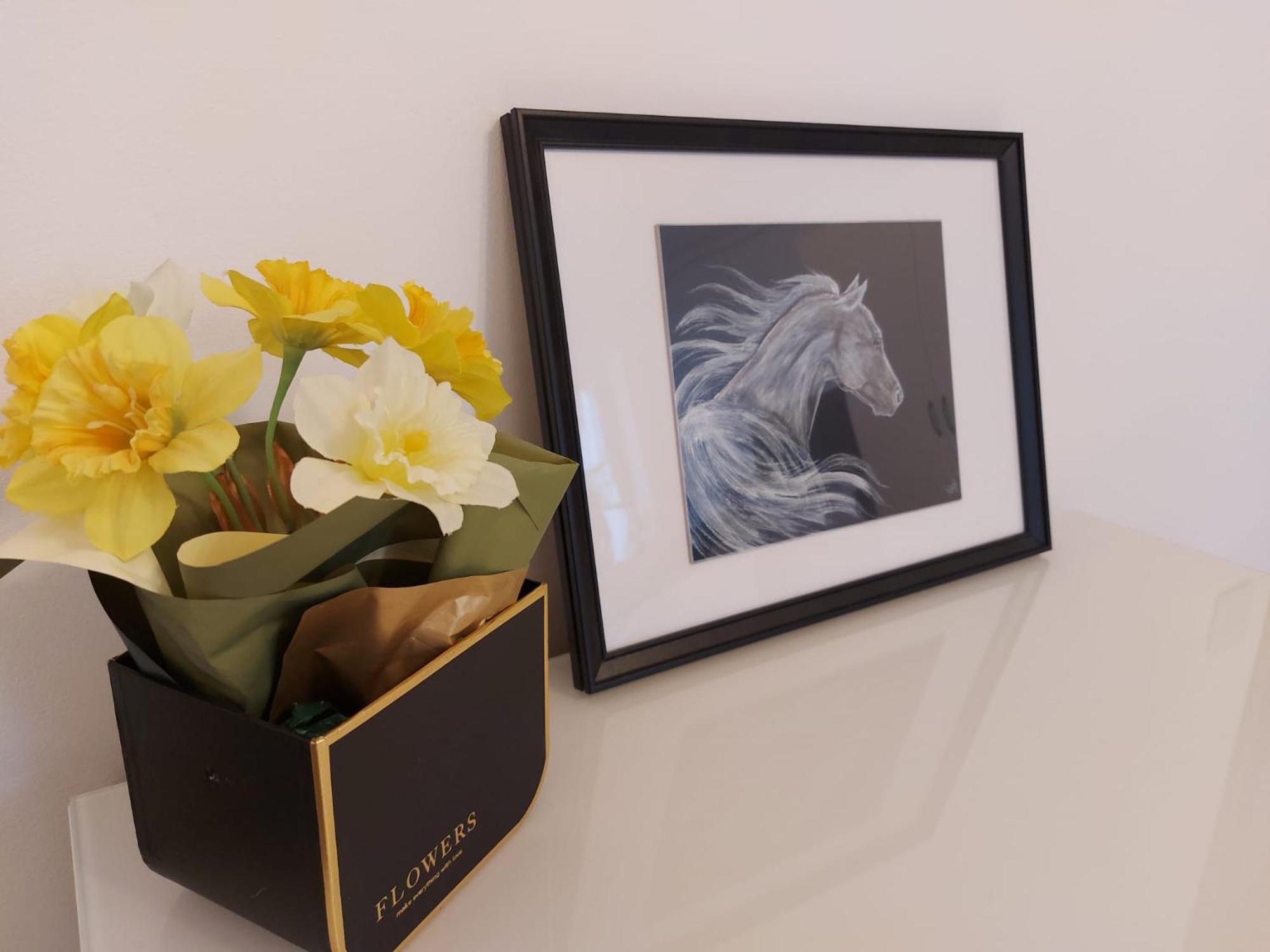 Zara Studio Braşov Dış mekan fotoğraf