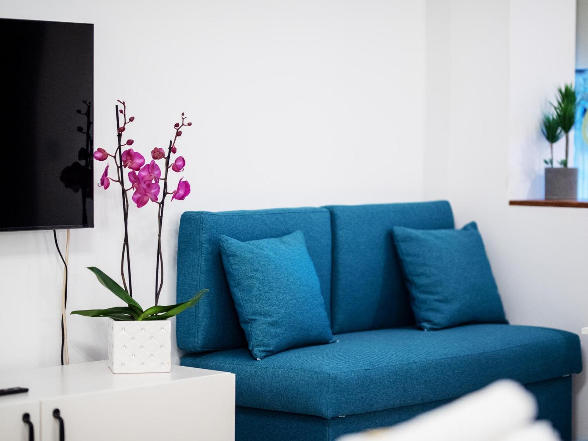 Zara Studio Braşov Dış mekan fotoğraf